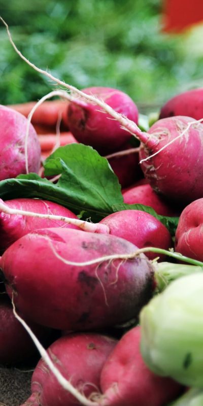 ca-creative-5PDlOQOKOpA-unsplash