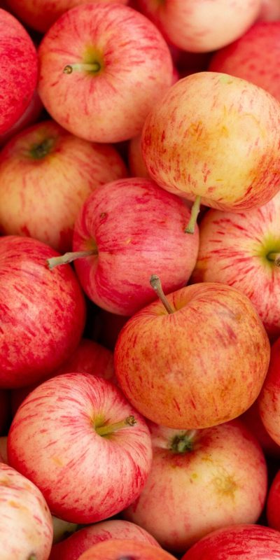 k8-hRbt11o8cEU-unsplash