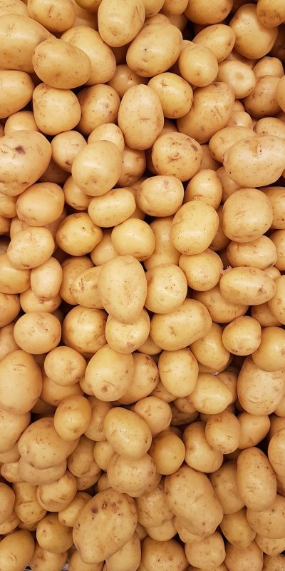 rodrigo-dos-reis-h3AkzboxK4Q-unsplash